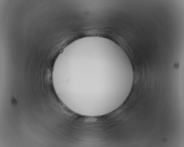 X0000112430669200908281904