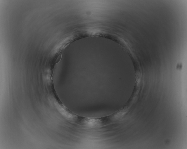 X0000112430670200908281904