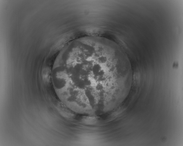 X0000112430671200908281904