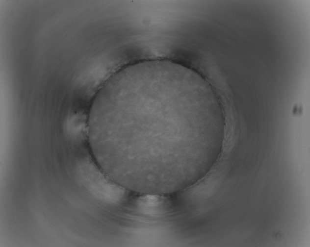 X0000112430672200908281904