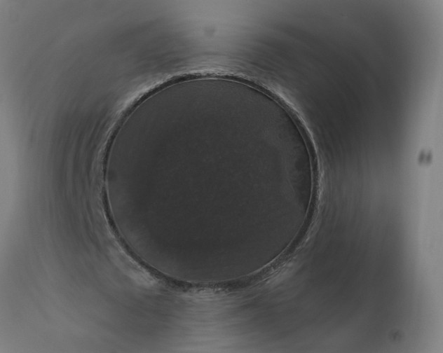 X0000112430673200908281903