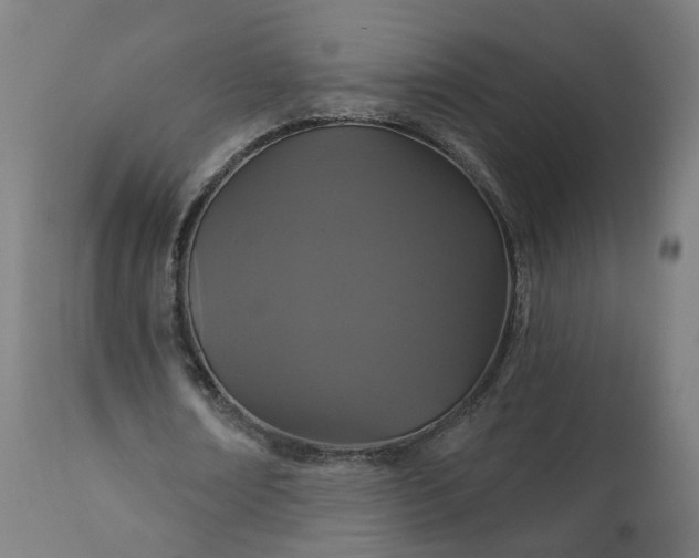 X0000112430674200908281903