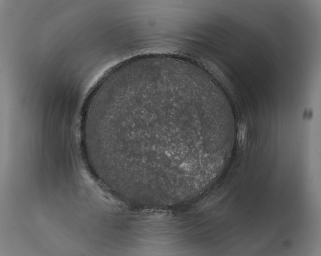 X0000112430676200908281903