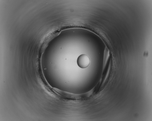 X0000112430677200908281903