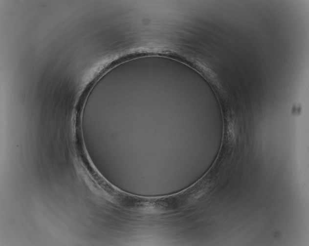 X0000112430678200908281903