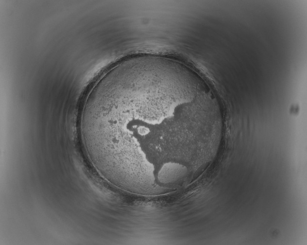 X0000112430679200908281903