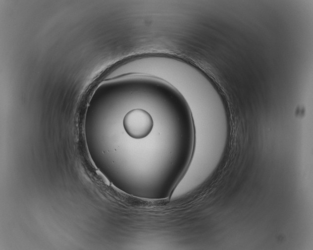 X0000112430680200908281903