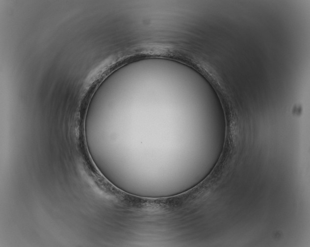 X0000112430682200908281903