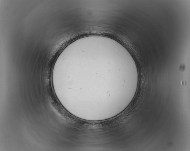 X0000112430683200908281903