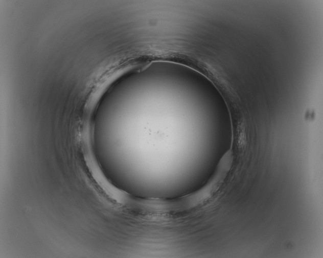 X0000112430685200908281903