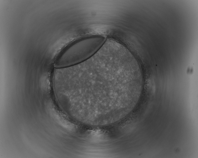 X0000112430688200908281903