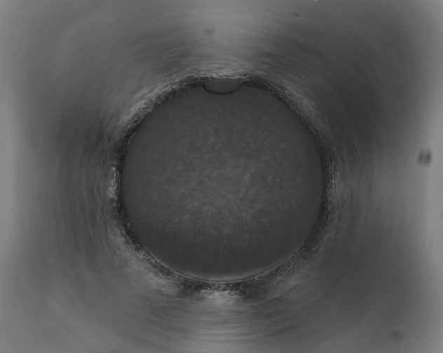 X0000112430689200908281903