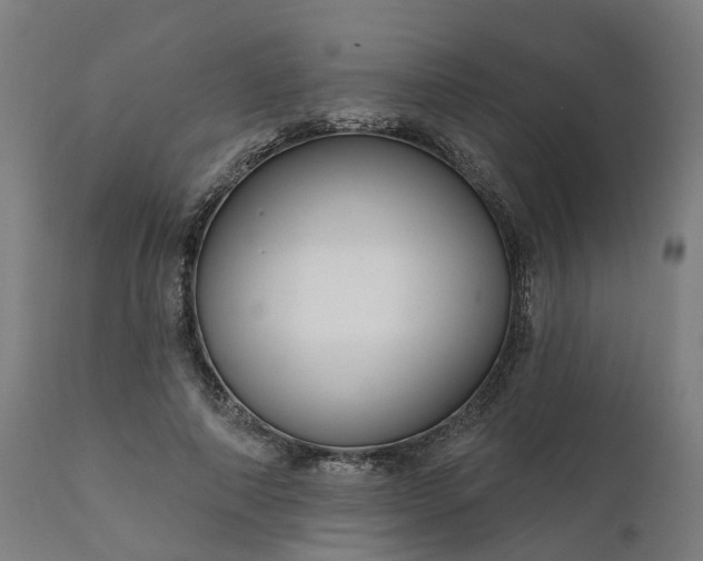 X0000112430690200908281903