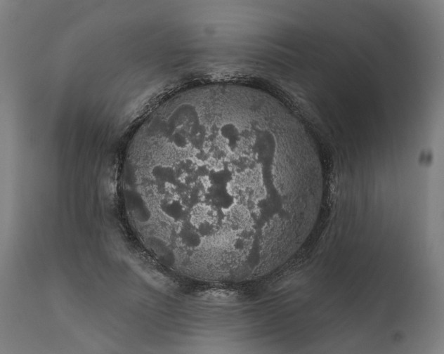 X0000112430691200908281903