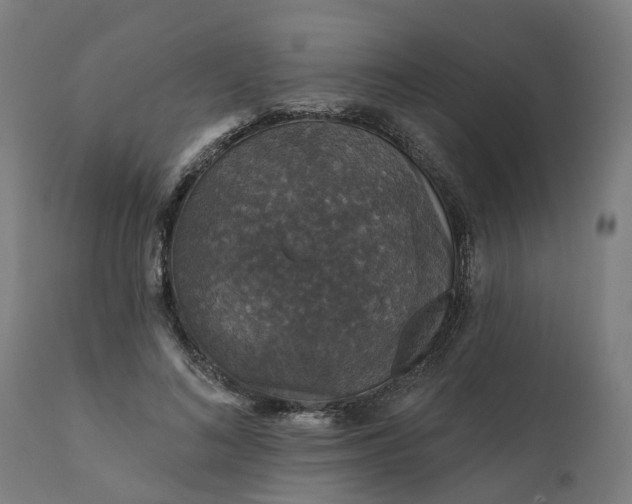 X0000112430692200908281903