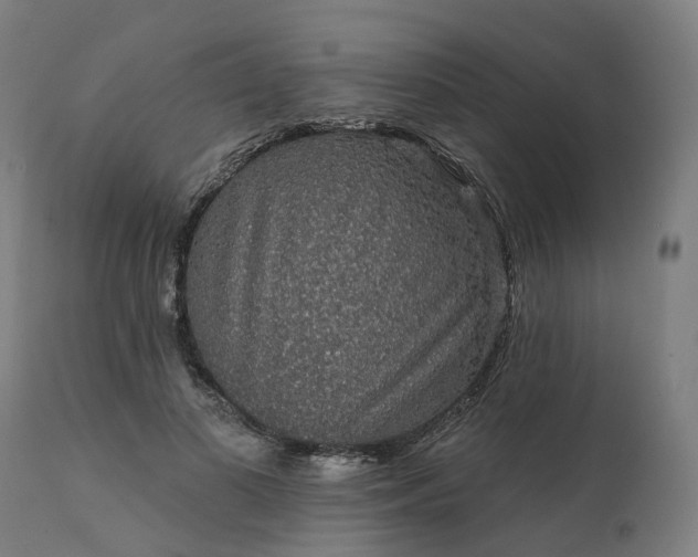 X0000112430693200908281903