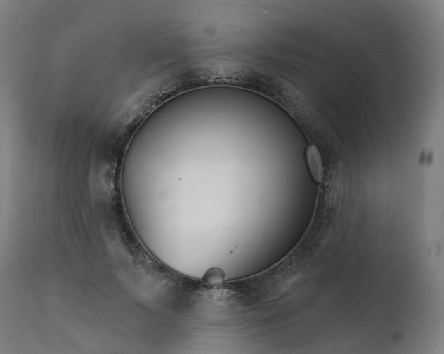 X0000112430695200908281903