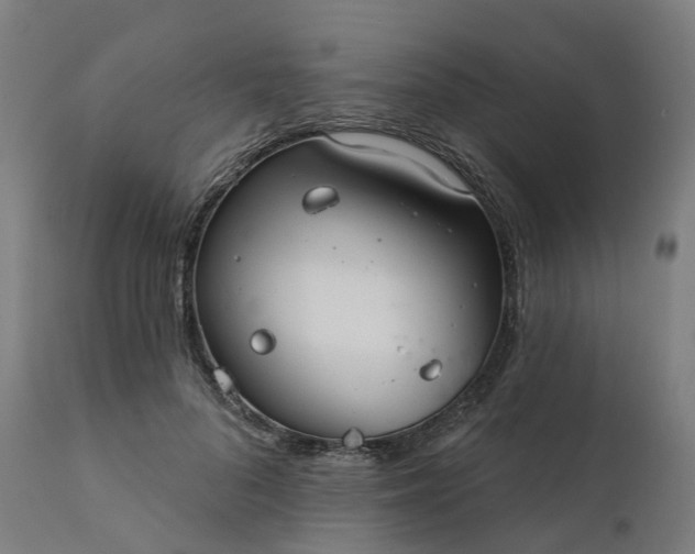 X0000112430696200908281903