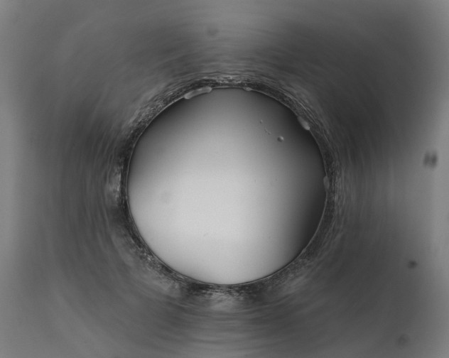 X0000112430697200908281903