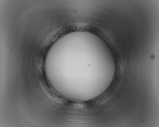 X0000112430698200908281903