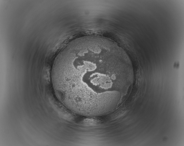 X0000112430699200908281903