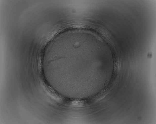 X0000112430700200908281903