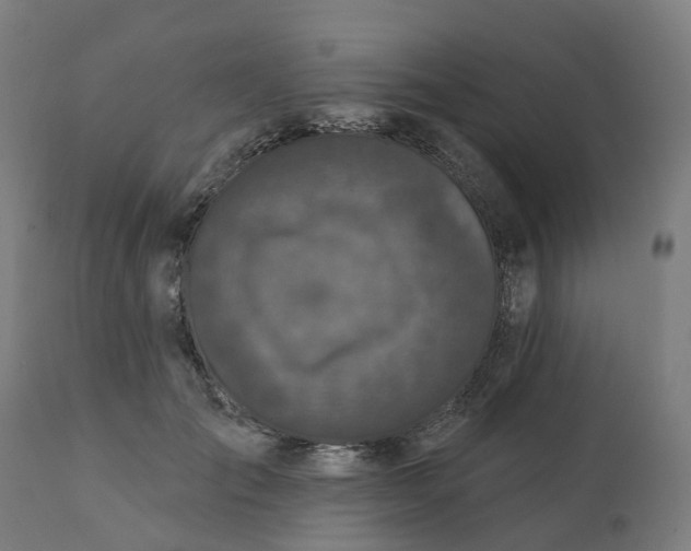 X0000112430701200908281903