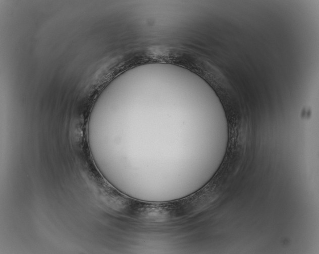 X0000112430702200908281903