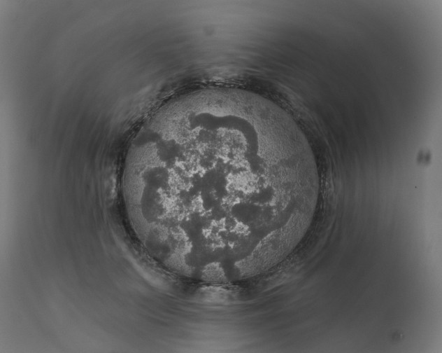 X0000112430703200908281903