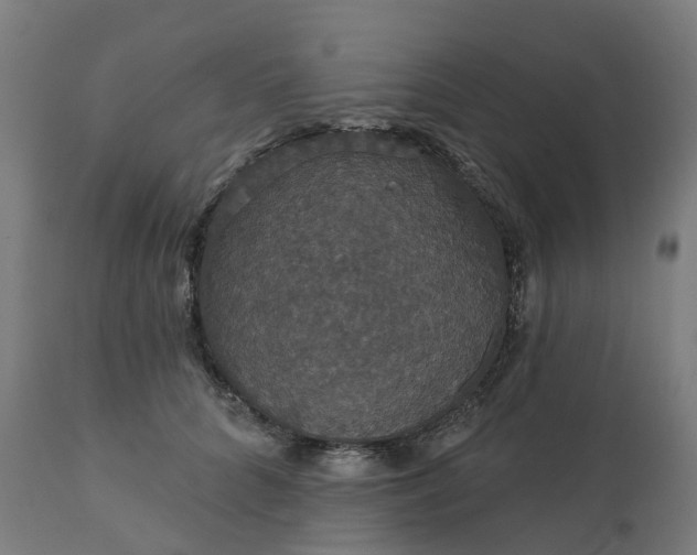 X0000112430704200908281903