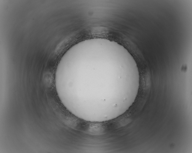 X0000112430705200908281903