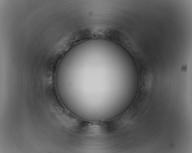 X0000112430706200908281903