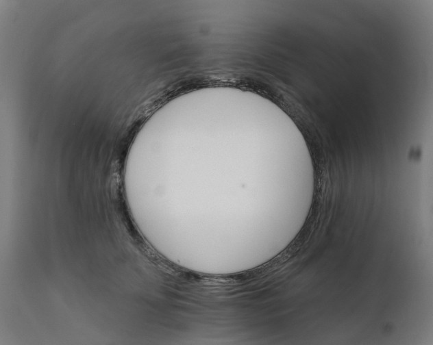 X0000112430707200908281903