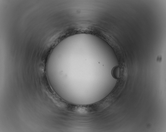 X0000112430710200908281903