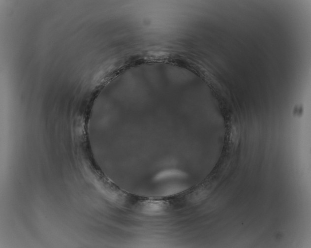 X0000112430711200908281903