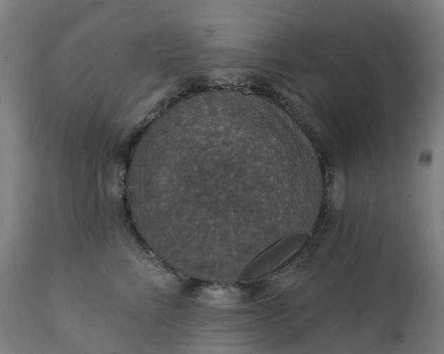 X0000112430712200908281903