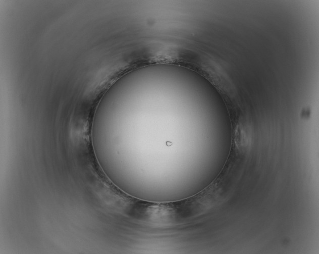 X0000112430714200908281903