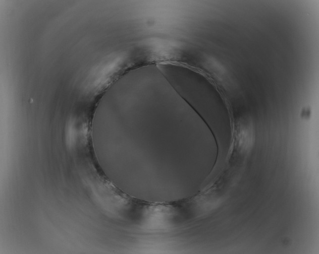 X0000112430716200908281903