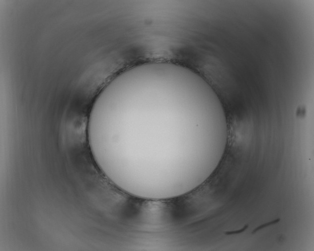 X0000112430717200908281902