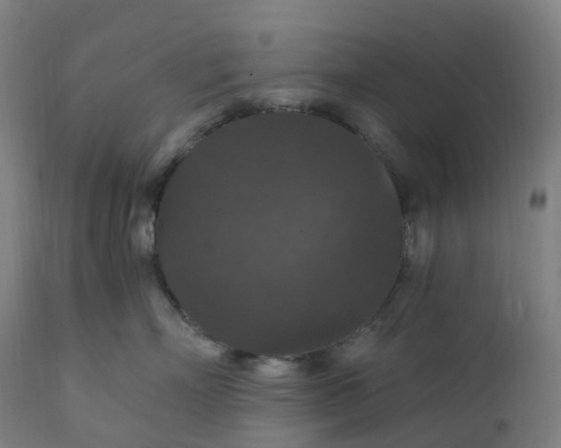 X0000112430718200908281902