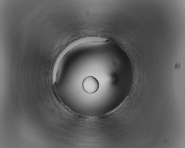 X0000112430720200908281902