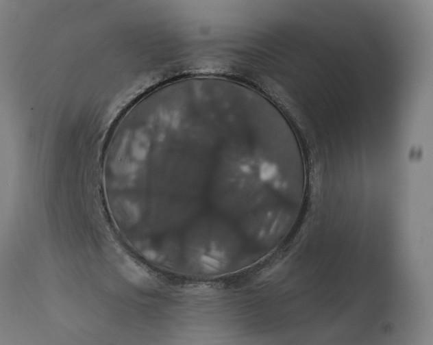 X0000112430721200908281901