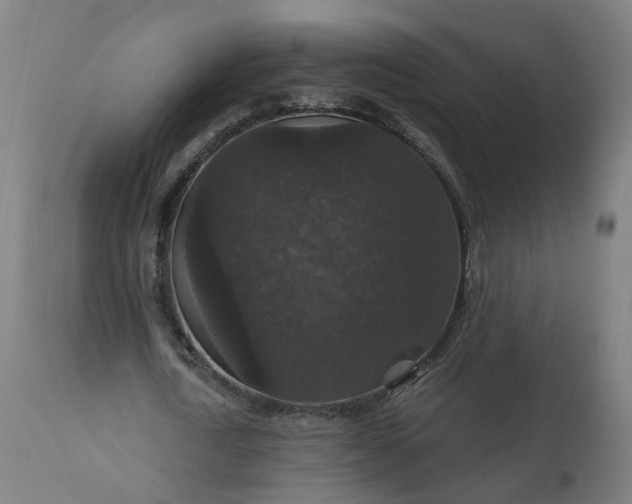 X0000112430722200908281901