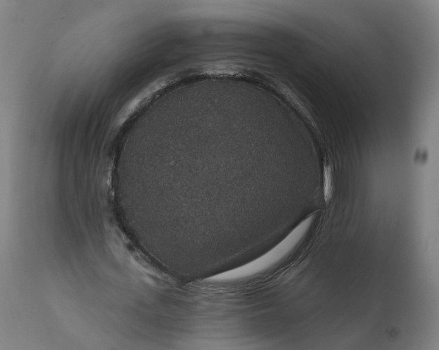 X0000112430723200908281901