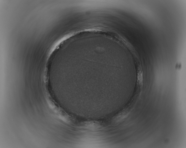 X0000112430724200908281901