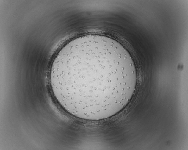 X0000112430725200908281902