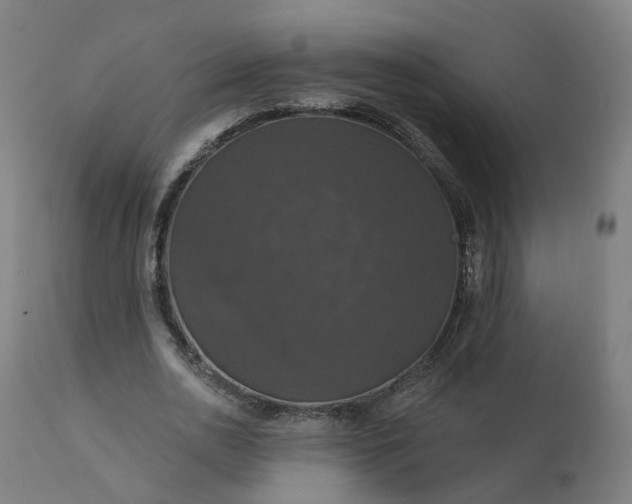 X0000112430726200908281902