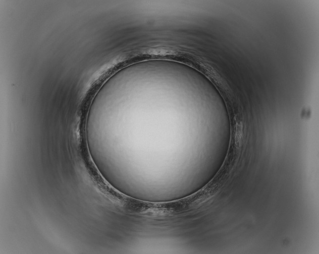 X0000112430727200908281902