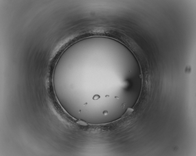 X0000112430728200908281902