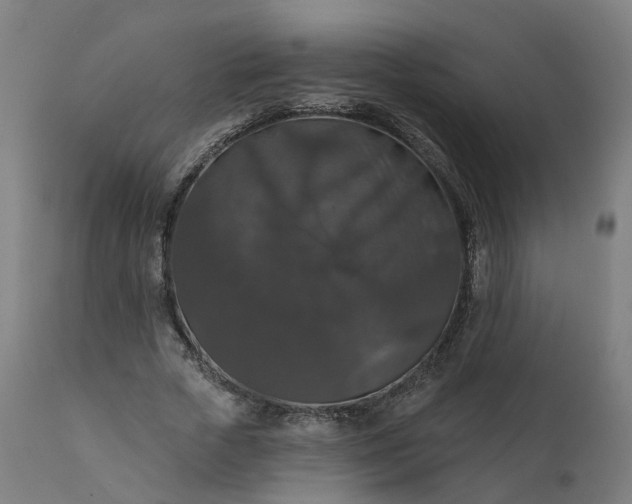 X0000112430729200908281902